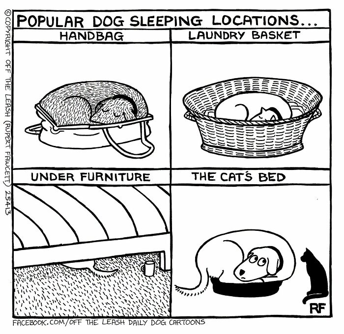 25 New “Off The Leash” Comics That Perfectly Capture Life With Dogs 25 New “Off The Leash” Comics That Perfectly Capture Life With Dogs
