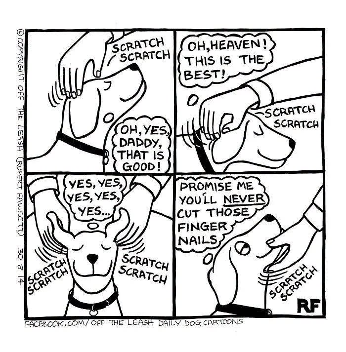 25 New “Off The Leash” Comics That Perfectly Capture Life With Dogs 25 New “Off The Leash” Comics That Perfectly Capture Life With Dogs