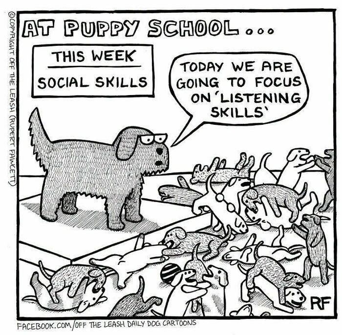 25 New “Off The Leash” Comics That Perfectly Capture Life With Dogs 25 New “Off The Leash” Comics That Perfectly Capture Life With Dogs