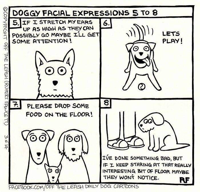 25 New “Off The Leash” Comics That Perfectly Capture Life With Dogs 25 New “Off The Leash” Comics That Perfectly Capture Life With Dogs