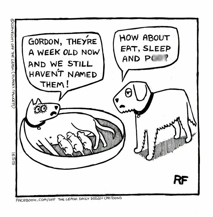 25 New “Off The Leash” Comics That Perfectly Capture Life With Dogs 25 New “Off The Leash” Comics That Perfectly Capture Life With Dogs