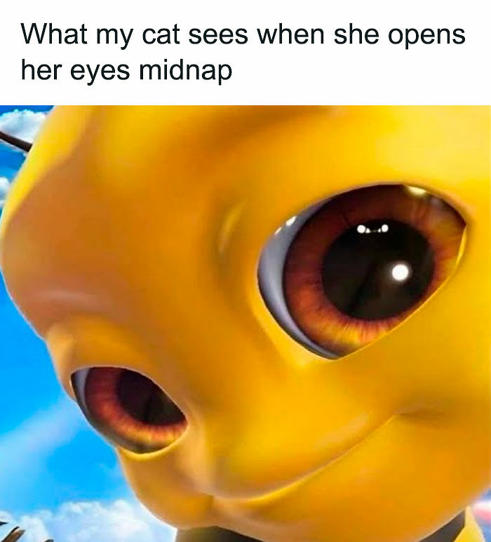 If Life Feels Like A Lot Lately, Here Are 85 “Serotonin Memes” To Bring You Comfort (New Pics) If Life Feels Like A Lot Lately, Here Are 85 “Serotonin Memes” To Bring You Comfort (New Pics)