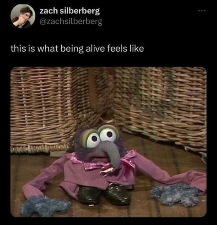 If Life Feels Like A Lot Lately, Here Are 85 “Serotonin Memes” To Bring You Comfort (New Pics) If Life Feels Like A Lot Lately, Here Are 85 “Serotonin Memes” To Bring You Comfort (New Pics)