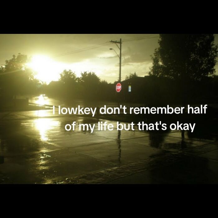 If Life Feels Like A Lot Lately, Here Are 85 “Serotonin Memes” To Bring You Comfort (New Pics) If Life Feels Like A Lot Lately, Here Are 85 “Serotonin Memes” To Bring You Comfort (New Pics)