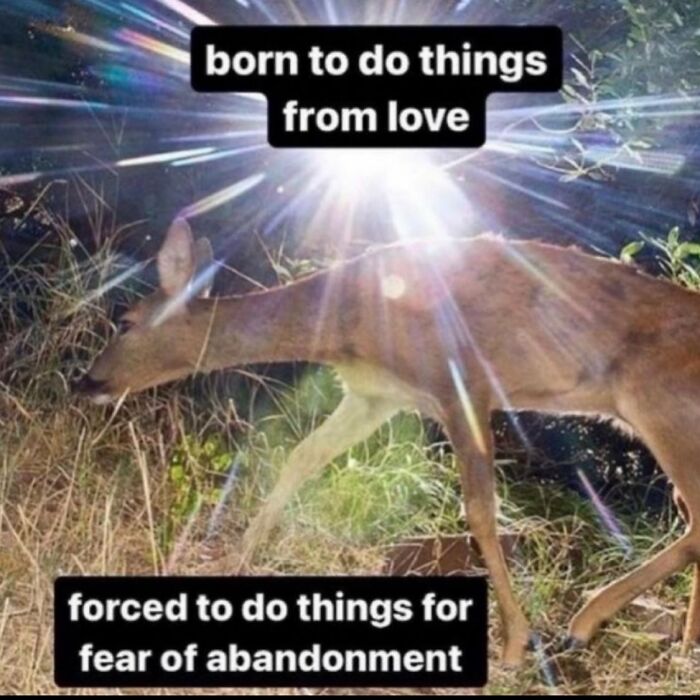 If Life Feels Like A Lot Lately, Here Are 85 “Serotonin Memes” To Bring You Comfort (New Pics) If Life Feels Like A Lot Lately, Here Are 85 “Serotonin Memes” To Bring You Comfort (New Pics)