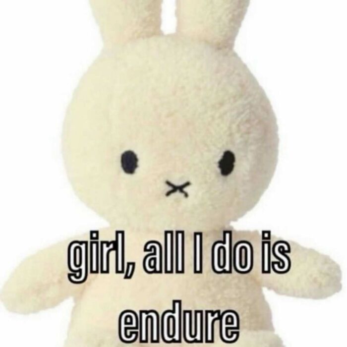 If Life Feels Like A Lot Lately, Here Are 85 “Serotonin Memes” To Bring You Comfort (New Pics) If Life Feels Like A Lot Lately, Here Are 85 “Serotonin Memes” To Bring You Comfort (New Pics)