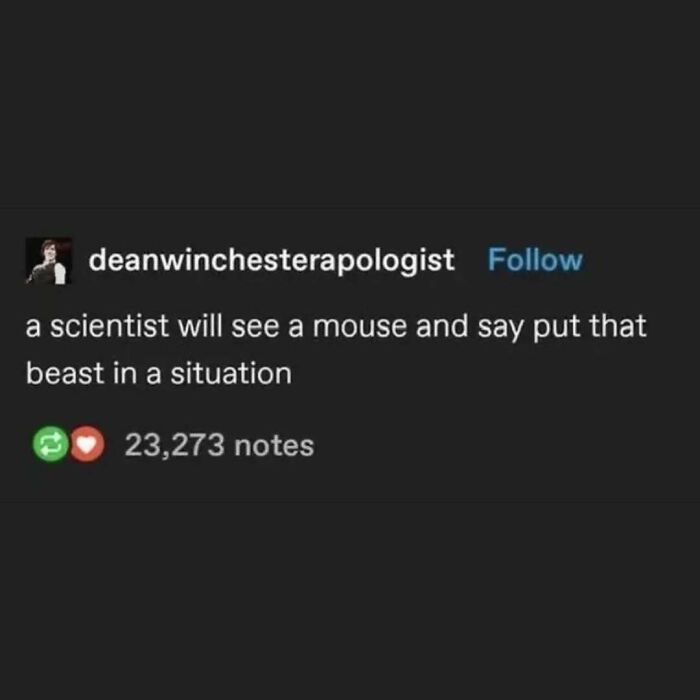 If Life Feels Like A Lot Lately, Here Are 85 “Serotonin Memes” To Bring You Comfort (New Pics) If Life Feels Like A Lot Lately, Here Are 85 “Serotonin Memes” To Bring You Comfort (New Pics)