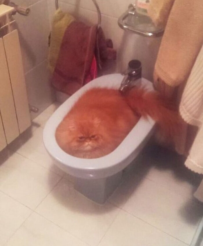 80 Confusing Pics With Misleading Headlines That May Melt Your Already Exhausted Brain 80 Confusing Pics With Misleading Headlines That May Melt Your Already Exhausted Brain