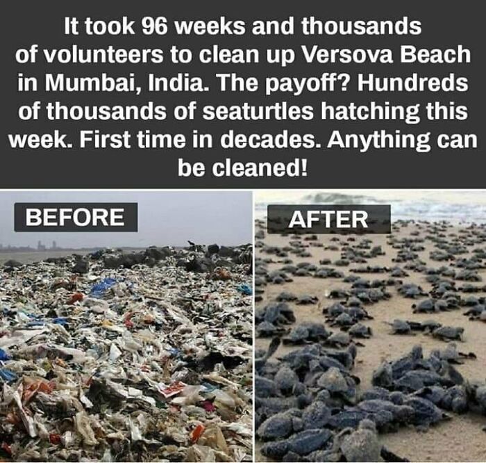 “The Real Trash Are The People”: As Trash Takes Over The World, These Folks Should Be The Real Influencers “The Real Trash Are The People”: As Trash Takes Over The World, These Folks Should Be The Real Influencers