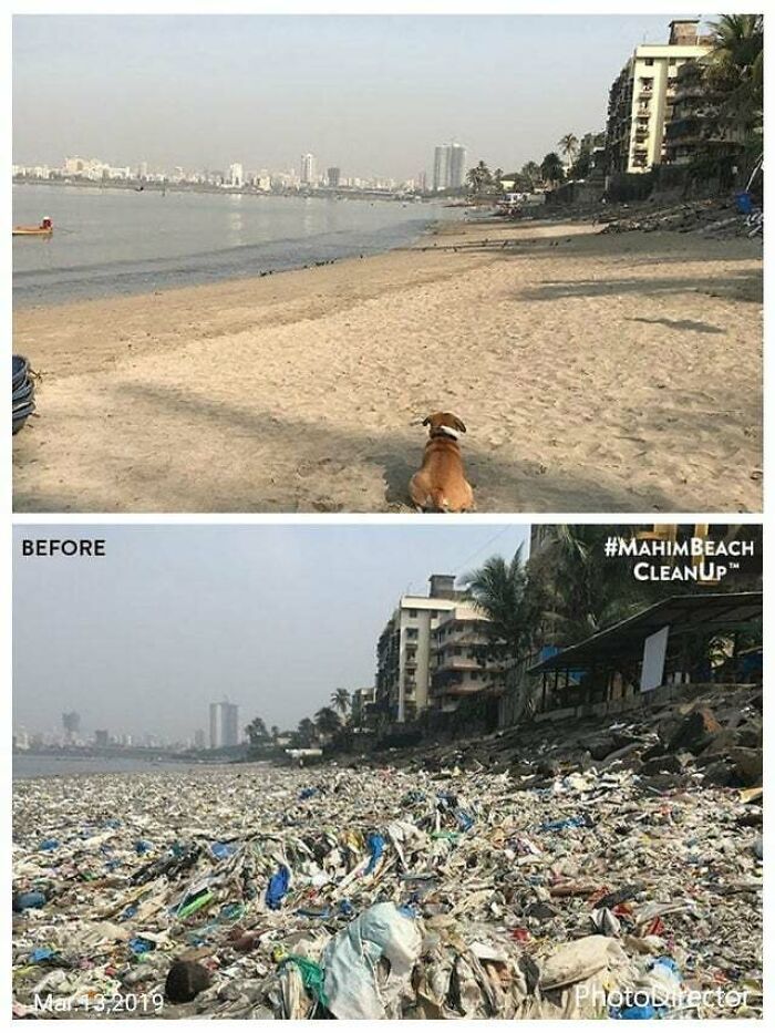 “The Real Trash Are The People”: As Trash Takes Over The World, These Folks Should Be The Real Influencers “The Real Trash Are The People”: As Trash Takes Over The World, These Folks Should Be The Real Influencers