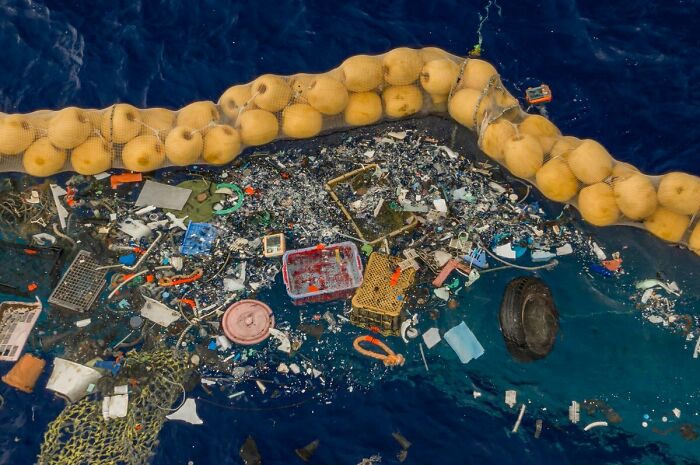 “The Real Trash Are The People”: As Trash Takes Over The World, These Folks Should Be The Real Influencers “The Real Trash Are The People”: As Trash Takes Over The World, These Folks Should Be The Real Influencers