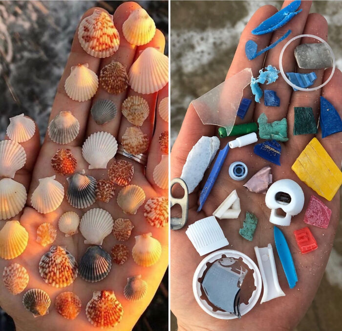 “The Real Trash Are The People”: As Trash Takes Over The World, These Folks Should Be The Real Influencers “The Real Trash Are The People”: As Trash Takes Over The World, These Folks Should Be The Real Influencers