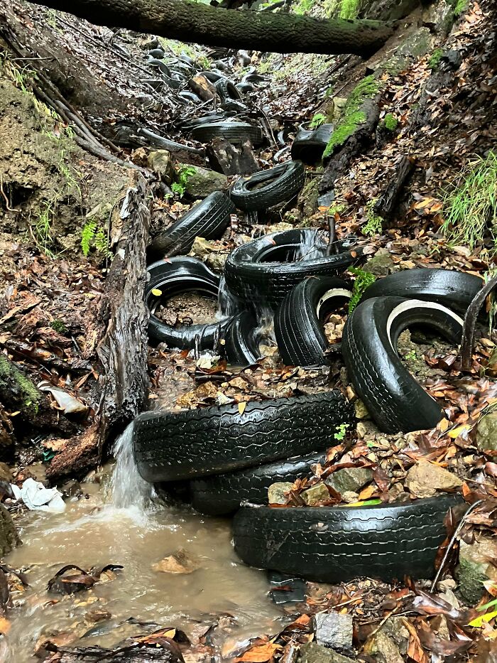 “The Real Trash Are The People”: As Trash Takes Over The World, These Folks Should Be The Real Influencers “The Real Trash Are The People”: As Trash Takes Over The World, These Folks Should Be The Real Influencers