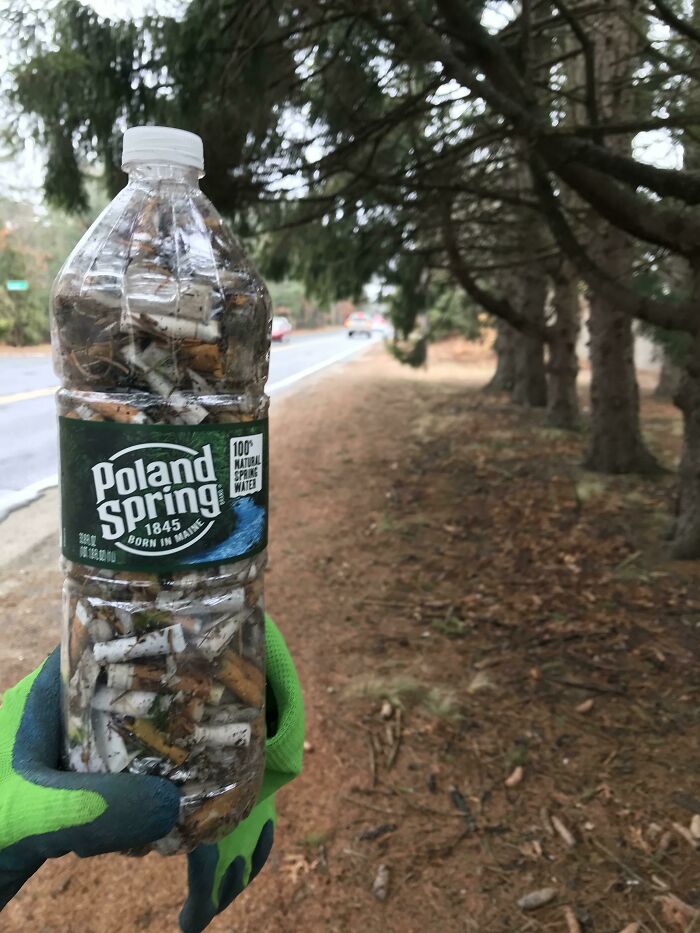 “The Real Trash Are The People”: As Trash Takes Over The World, These Folks Should Be The Real Influencers “The Real Trash Are The People”: As Trash Takes Over The World, These Folks Should Be The Real Influencers