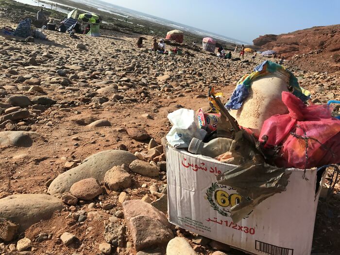 “The Real Trash Are The People”: As Trash Takes Over The World, These Folks Should Be The Real Influencers “The Real Trash Are The People”: As Trash Takes Over The World, These Folks Should Be The Real Influencers