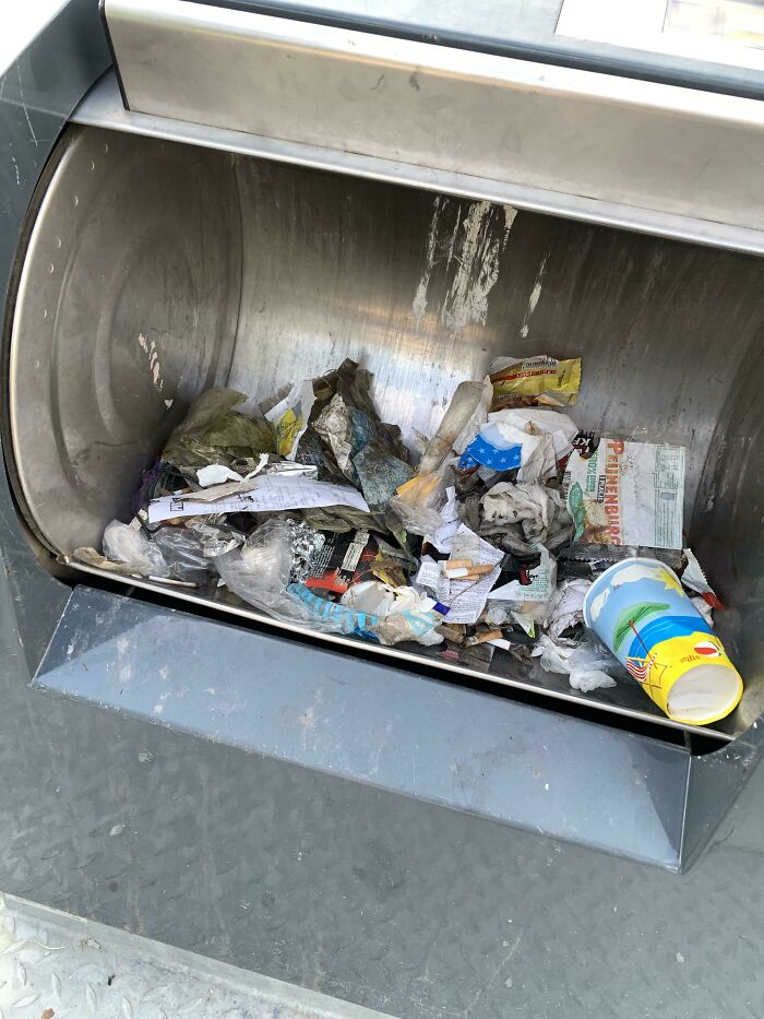 “The Real Trash Are The People”: As Trash Takes Over The World, These Folks Should Be The Real Influencers “The Real Trash Are The People”: As Trash Takes Over The World, These Folks Should Be The Real Influencers