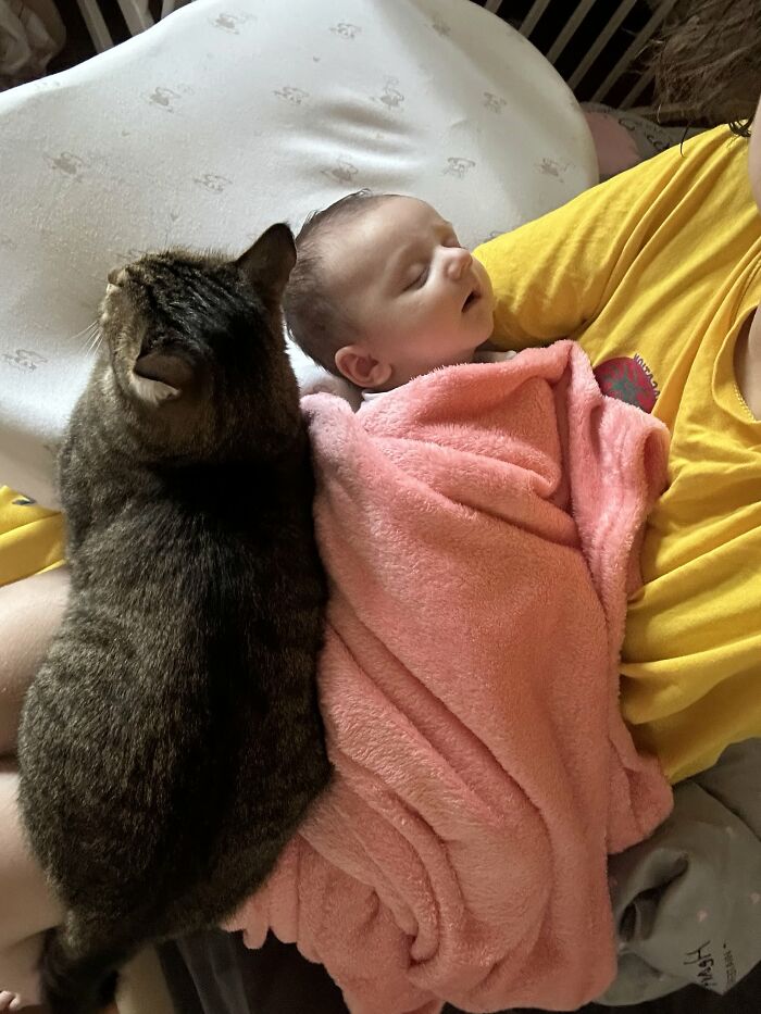 Moms Share 73 Photos From Their Life That Motherhood Is Rewarding, Joyful And Fulfilling But Not Easy Moms Share 73 Photos From Their Life That Motherhood Is Rewarding, Joyful And Fulfilling But Not Easy