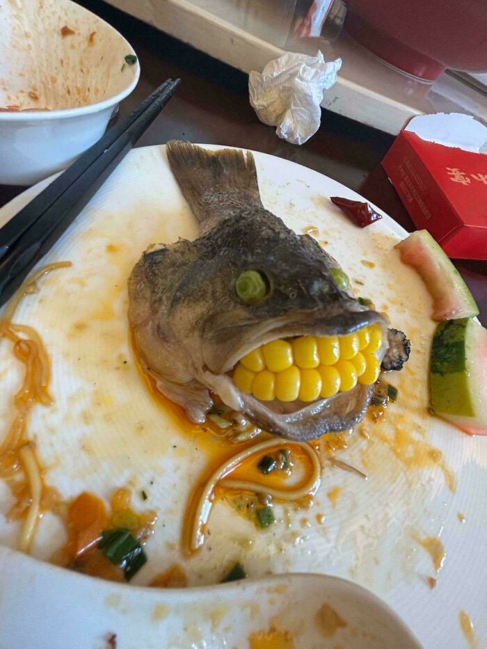 The Camera Probably Exploded After Taking These 65 Images That Are Heavily Cursed The Camera Probably Exploded After Taking These 65 Images That Are Heavily Cursed