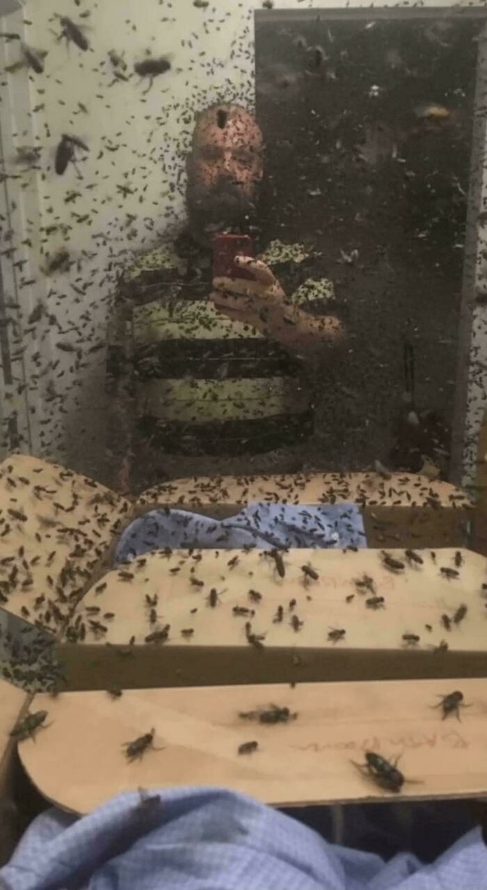 The Camera Probably Exploded After Taking These 65 Images That Are Heavily Cursed The Camera Probably Exploded After Taking These 65 Images That Are Heavily Cursed