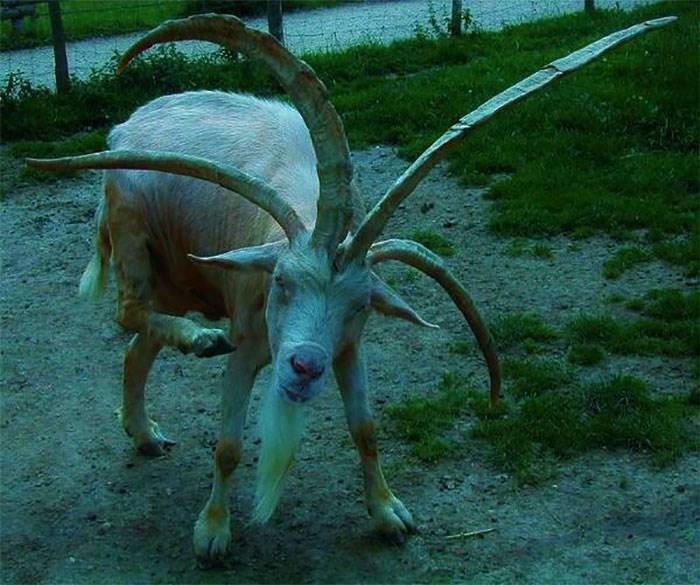 The Camera Probably Exploded After Taking These 65 Images That Are Heavily Cursed The Camera Probably Exploded After Taking These 65 Images That Are Heavily Cursed