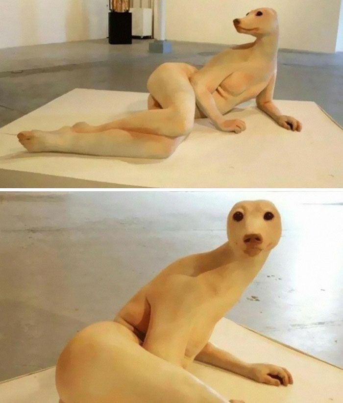 The Camera Probably Exploded After Taking These 65 Images That Are Heavily Cursed The Camera Probably Exploded After Taking These 65 Images That Are Heavily Cursed