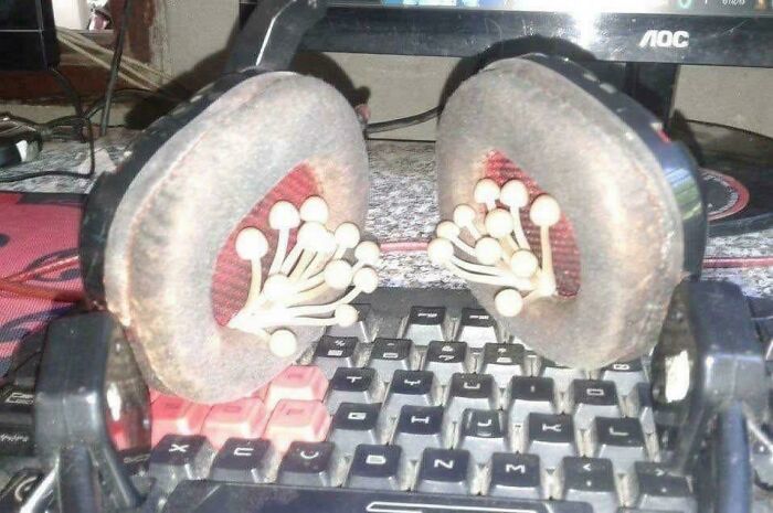 The Camera Probably Exploded After Taking These 65 Images That Are Heavily Cursed The Camera Probably Exploded After Taking These 65 Images That Are Heavily Cursed