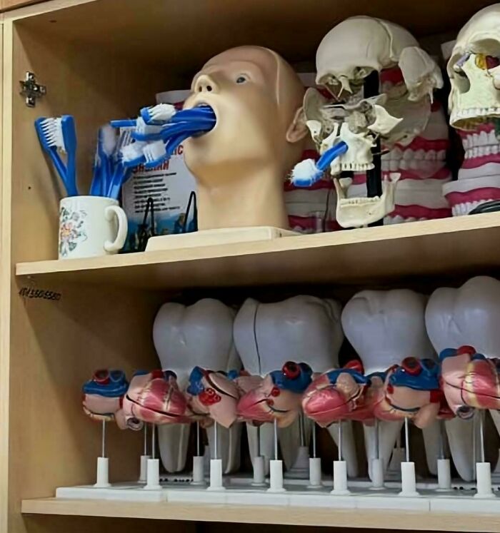 The Camera Probably Exploded After Taking These 65 Images That Are Heavily Cursed The Camera Probably Exploded After Taking These 65 Images That Are Heavily Cursed