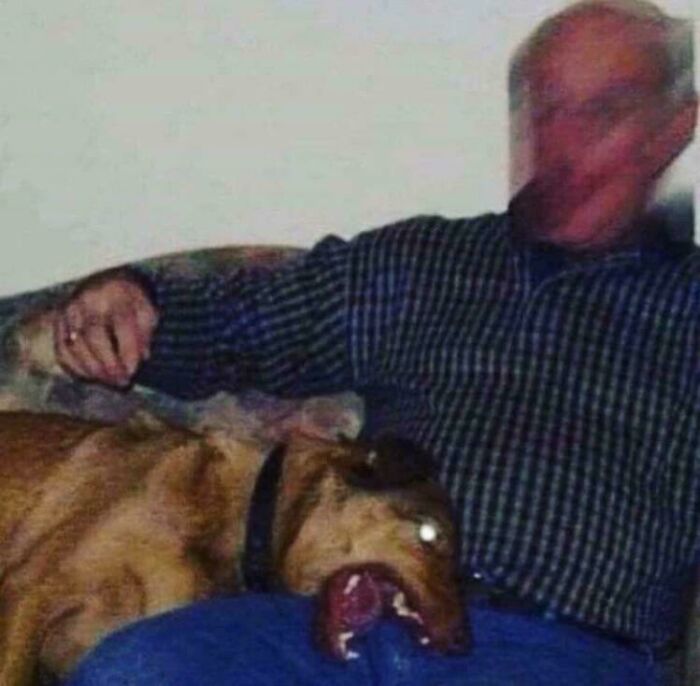The Camera Probably Exploded After Taking These 65 Images That Are Heavily Cursed The Camera Probably Exploded After Taking These 65 Images That Are Heavily Cursed