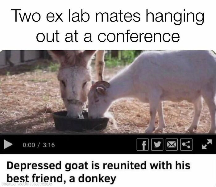 “I’m Running Out Of Energy”: 82 PhD Memes To Scroll Through When You Should Be Writing Your Thesis “I’m Running Out Of Energy”: 82 PhD Memes To Scroll Through When You Should Be Writing Your Thesis
