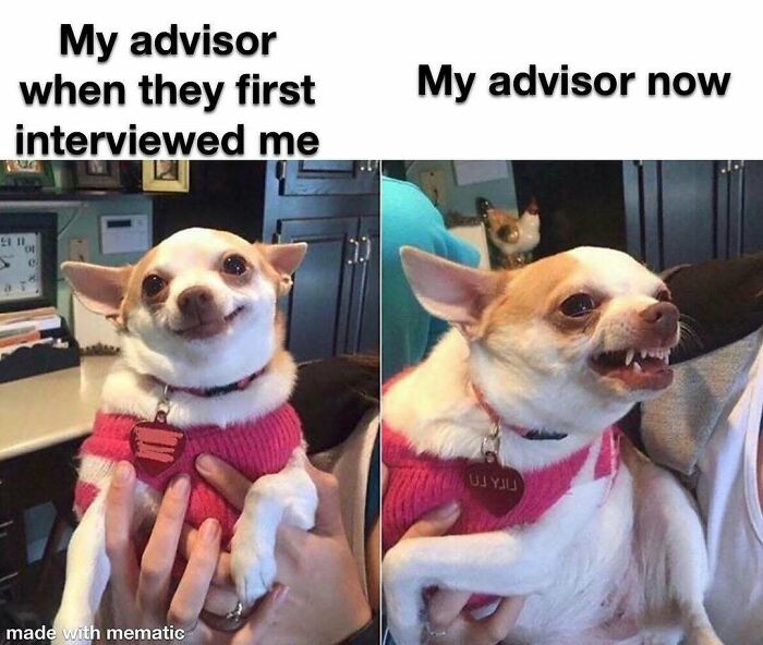 “I’m Running Out Of Energy”: 82 PhD Memes To Scroll Through When You Should Be Writing Your Thesis “I’m Running Out Of Energy”: 82 PhD Memes To Scroll Through When You Should Be Writing Your Thesis