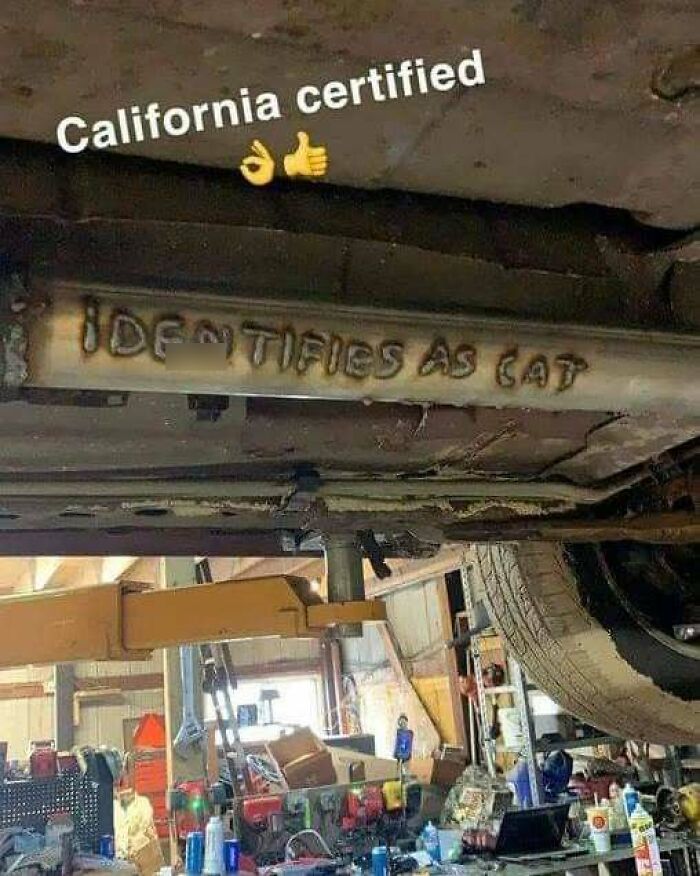 “Improvise, Adapt, Overcome”: 66 Funny Memes For People Who’d Rather Discuss Cars Than The Weather “Improvise, Adapt, Overcome”: 66 Funny Memes For People Who’d Rather Discuss Cars Than The Weather