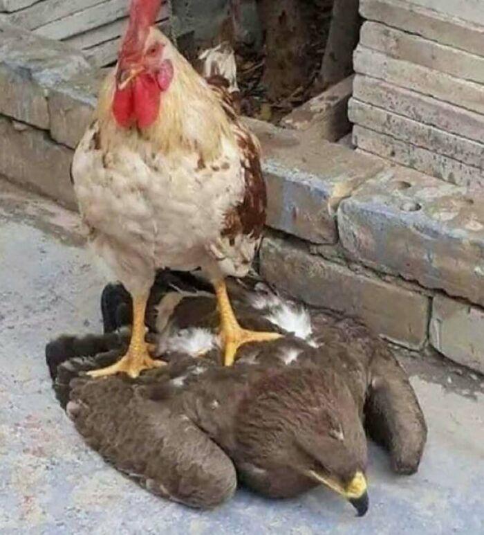 81 Random And Unhinged Images That Are Cursed And That’s The Only Explanation You Need (New Pics) 81 Random And Unhinged Images That Are Cursed And That’s The Only Explanation You Need (New Pics)