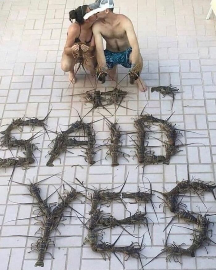 81 Random And Unhinged Images That Are Cursed And That’s The Only Explanation You Need (New Pics) 81 Random And Unhinged Images That Are Cursed And That’s The Only Explanation You Need (New Pics)