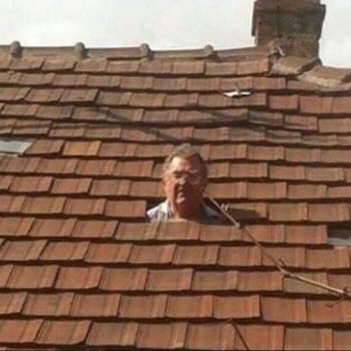 81 Random And Unhinged Images That Are Cursed And That’s The Only Explanation You Need (New Pics) 81 Random And Unhinged Images That Are Cursed And That’s The Only Explanation You Need (New Pics)