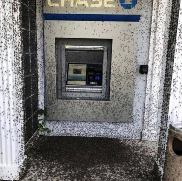 81 Random And Unhinged Images That Are Cursed And That’s The Only Explanation You Need (New Pics) 81 Random And Unhinged Images That Are Cursed And That’s The Only Explanation You Need (New Pics)