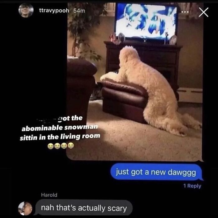 81 Random And Unhinged Images That Are Cursed And That’s The Only Explanation You Need (New Pics) 81 Random And Unhinged Images That Are Cursed And That’s The Only Explanation You Need (New Pics)