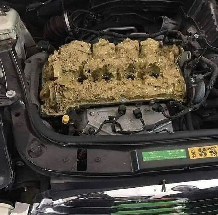 81 Random And Unhinged Images That Are Cursed And That’s The Only Explanation You Need (New Pics) 81 Random And Unhinged Images That Are Cursed And That’s The Only Explanation You Need (New Pics)