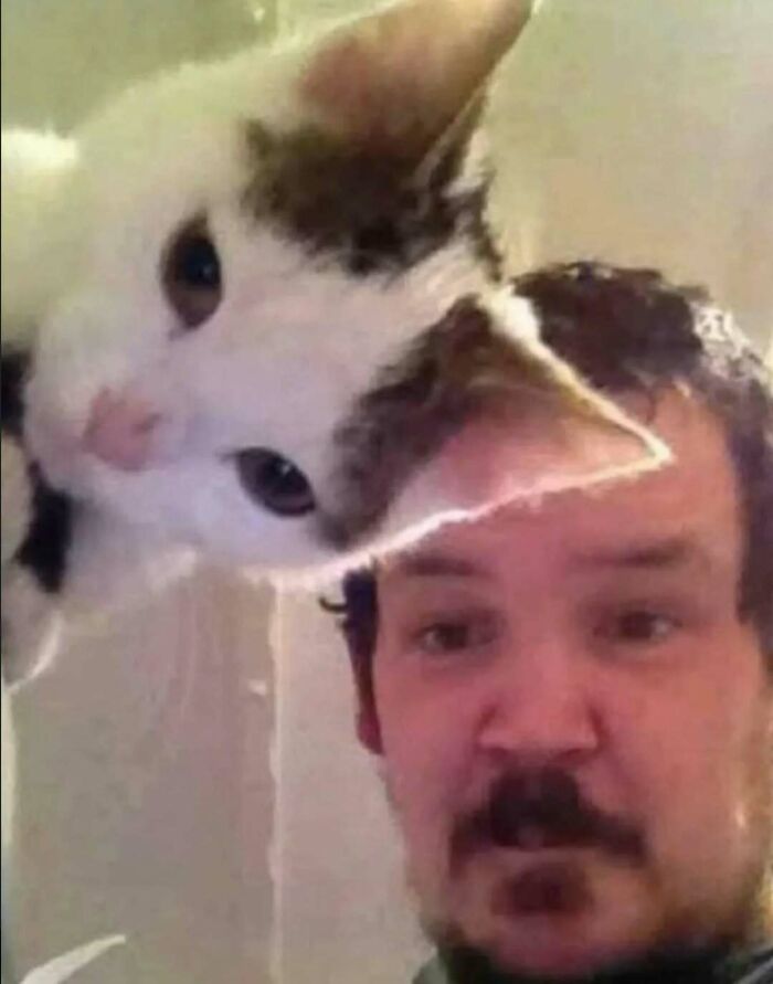 81 Random And Unhinged Images That Are Cursed And That’s The Only Explanation You Need (New Pics) 81 Random And Unhinged Images That Are Cursed And That’s The Only Explanation You Need (New Pics)
