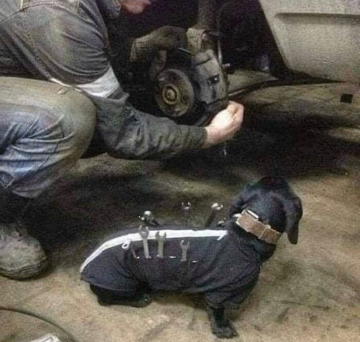 81 Random And Unhinged Images That Are Cursed And That’s The Only Explanation You Need (New Pics) 81 Random And Unhinged Images That Are Cursed And That’s The Only Explanation You Need (New Pics)