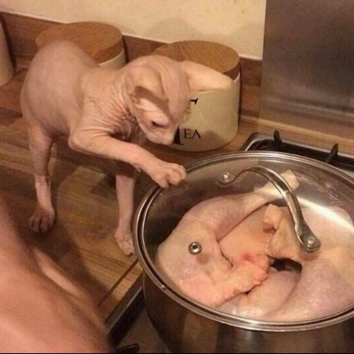 81 Random And Unhinged Images That Are Cursed And That’s The Only Explanation You Need (New Pics) 81 Random And Unhinged Images That Are Cursed And That’s The Only Explanation You Need (New Pics)