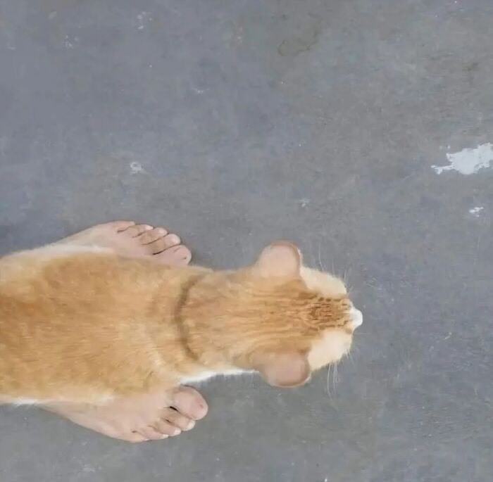 81 Random And Unhinged Images That Are Cursed And That’s The Only Explanation You Need (New Pics) 81 Random And Unhinged Images That Are Cursed And That’s The Only Explanation You Need (New Pics)