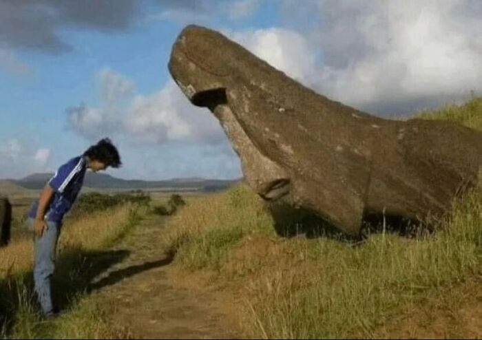 81 Random And Unhinged Images That Are Cursed And That’s The Only Explanation You Need (New Pics) 81 Random And Unhinged Images That Are Cursed And That’s The Only Explanation You Need (New Pics)