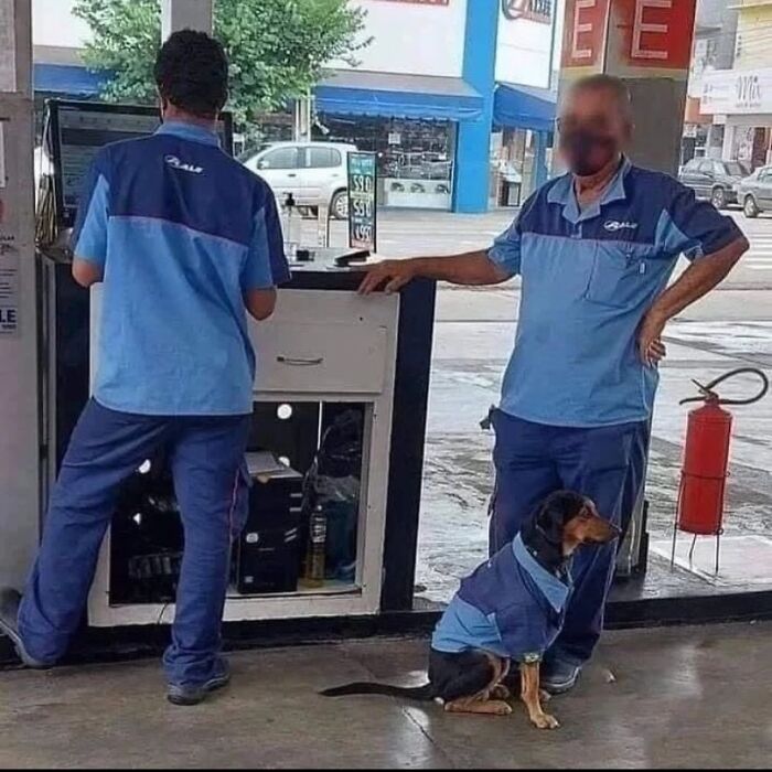 81 Random And Unhinged Images That Are Cursed And That’s The Only Explanation You Need (New Pics) 81 Random And Unhinged Images That Are Cursed And That’s The Only Explanation You Need (New Pics)