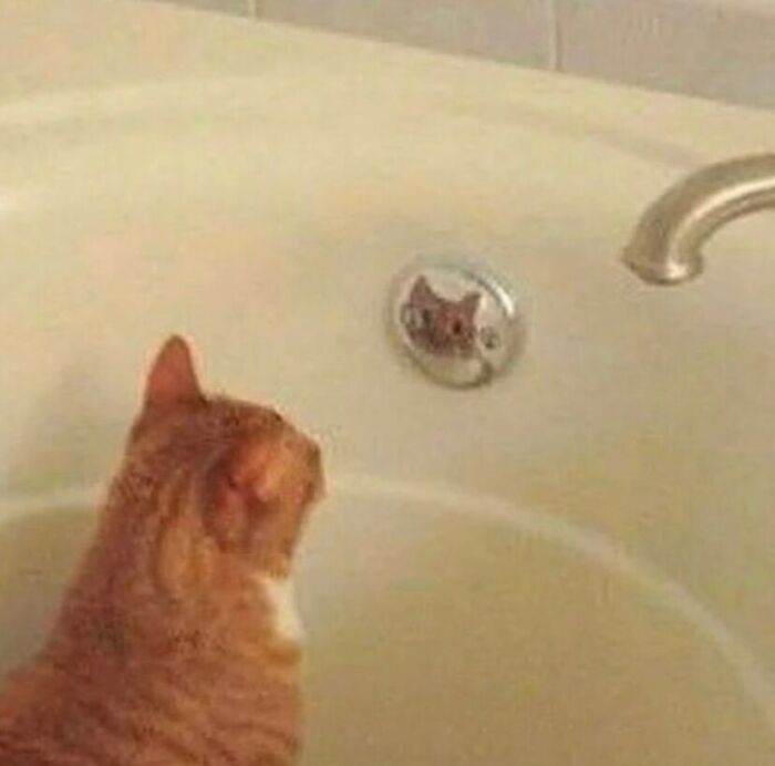 81 Random And Unhinged Images That Are Cursed And That’s The Only Explanation You Need (New Pics) 81 Random And Unhinged Images That Are Cursed And That’s The Only Explanation You Need (New Pics)