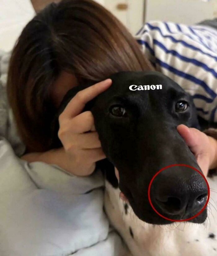 77 Photos From The &ldquo;Not Interesting&ldquo; Community That People Are Weirdly Invested In (New Pics)