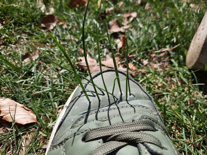77 Photos From The &ldquo;Not Interesting&ldquo; Community That People Are Weirdly Invested In (New Pics)