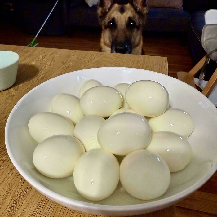 77 Photos From The &ldquo;Not Interesting&ldquo; Community That People Are Weirdly Invested In (New Pics)
