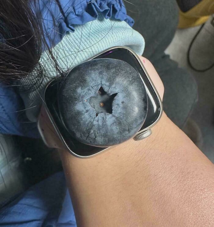 77 Photos From The &ldquo;Not Interesting&ldquo; Community That People Are Weirdly Invested In (New Pics)
