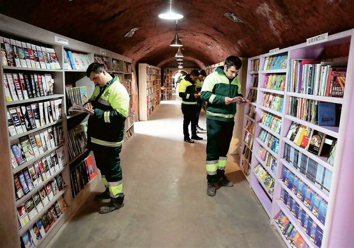 96 Wild Pictures That Make You Appreciate How Weird And Wonderful The World Is