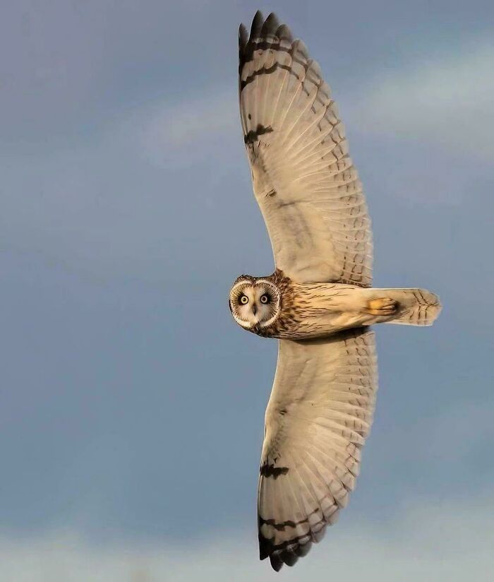 96 Wild Pictures That Make You Appreciate How Weird And Wonderful The World Is